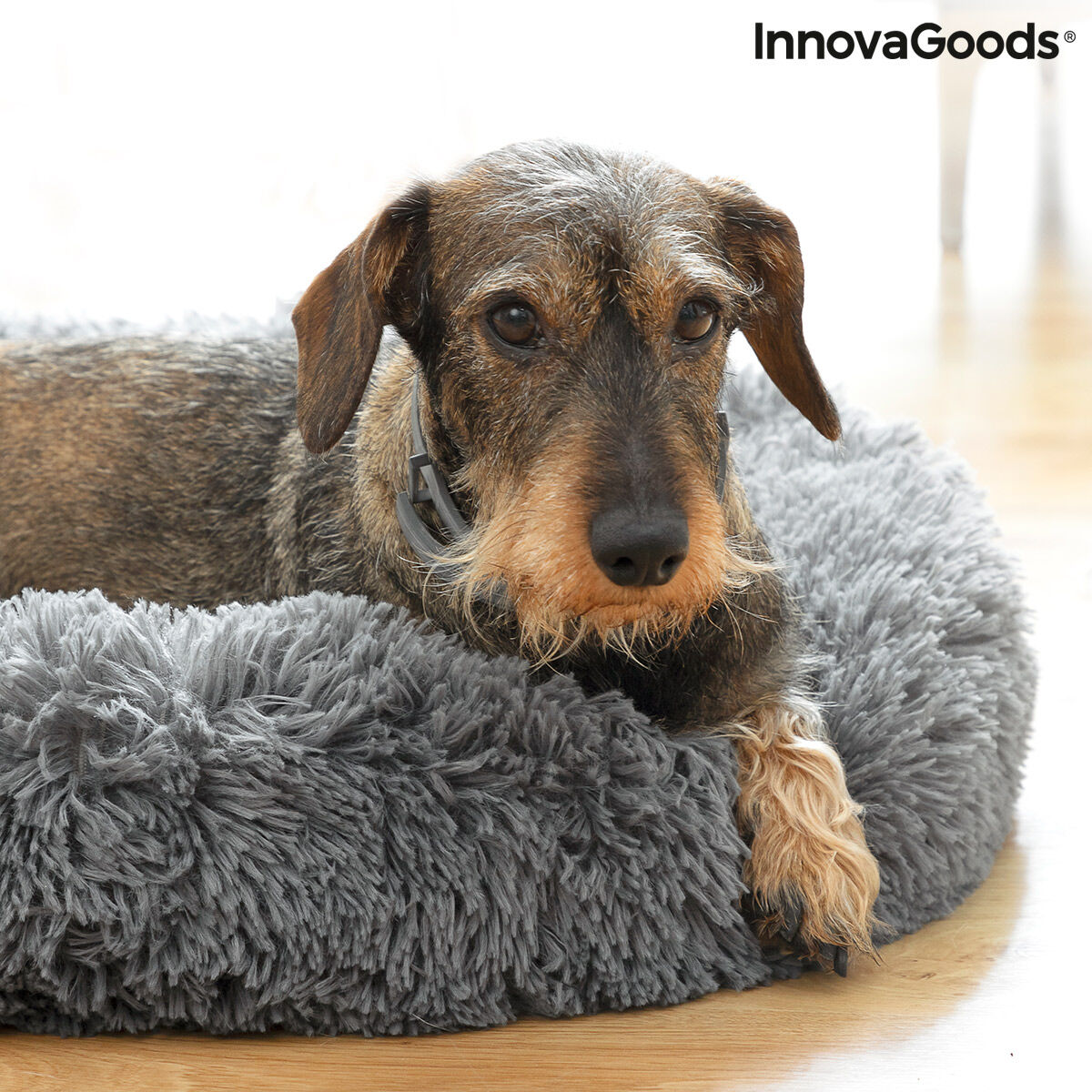 Innovagoods Antistressbed Voor Huisdieren Bepess Innovagoods Ø 60 Cm